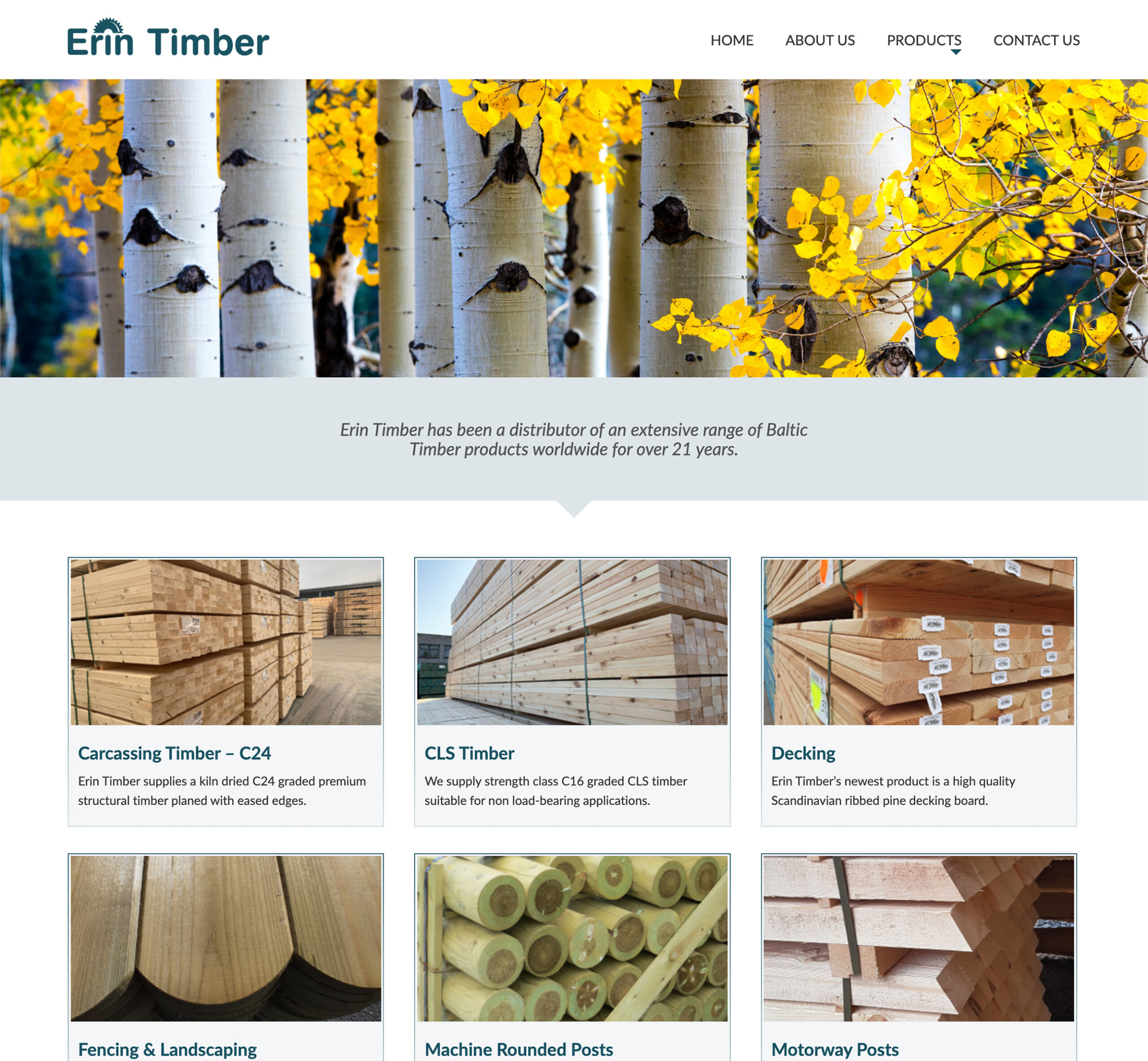 Erin Timber - Website